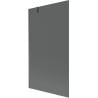 Mexen Next Duschabtrennung 1-flügelig 100 x 150 cm, grafit, gebürstet Gun Gray - 895-100-000-00-40-66