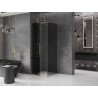 Mexen Velar Duschkabine schiebbar 120 x 120 cm, Graphit, Gold - 871-120-120-41-50