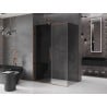 Mexen Velar Duschkabine schiebbar 160 x 80 cm, Graphit, Roségold - 871-160-080-41-60