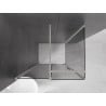 Mexen Velar Duschkabine zum Schieben 100 x 70 cm, Graphit, gebürsteter Nickel - 871-100-070-41-97
