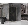 Mexen Velar Duo Duschkabine, Schiebetür, 80 x 80 cm, grafit, gold - 871-080-080-42-50