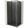 Mexen Velar Duo Schiebeduschkabine 100 x 90 cm, Graphit, Gold - 871-100-090-42-50