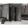 Mexen Velar Duo Schiebeduschkabine 100 x 100 cm, Graphit, Gold - 871-100-100-42-50