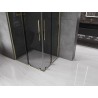 Mexen Velar Duo Schiebeduschkabine 100 x 90 cm, Graphit, Gold - 871-100-090-42-50