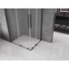 Mexen Velar Duo Schiebeduschkabine 100 x 90 cm, Frost, Gun Metal - 871-100-090-32-95