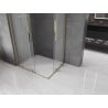 Mexen Velar L Duo Schiebeduschkabine 100 x 90 cm, Frostglas, Gold - 871-100-090-02-33-50
