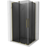 Mexen Velar L Duo Schiebeduschkabine 100 x 90 cm, Graphit, Gold - 871-100-090-02-43-50