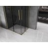 Mexen Velar L Duo Duschkabine mit Schiebetür 90 x 80 cm, Grafit, gebürstetes Gold - 871-090-080-02-43-55