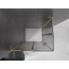 Mexen Velar L Duo Schiebeduschkabine 100 x 90 cm, Graphit, gebürstetes Gold - 871-100-090-02-43-55