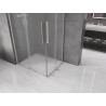 Mexen Velar L Duo Schiebetür-Duschkabine 100 x 90 cm, matt, gebürstetes Nickel - 871-100-090-02-33-97