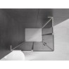Mexen Velar L Duo Schiebeduschkabine 100 x 90 cm, Graphit, gebürsteter Nickel - 871-100-090-02-43-97