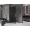 Mexen Velar begehbare Duschwand 80 x 200 cm, grafit 8 mm, gold - 871-080-000-43-50