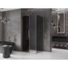 Mexen Velar L Duschkabine verschiebbar 120 x 110 cm, Graphit, gebürstetes Kupfer - 871-120-110-43-65