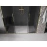 Mexen Velar Duo Schiebetüren Dusche 200 cm, Grafit, Gold - 871-200-000-42-50