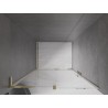 Mexen Velar L Schiebetüren für Dusche 120 cm, transparent, gold - 871-120-003-01-50