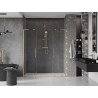 Mexen Velar L Duo Schiebeduschtüren 170 cm, transparent, gebürstet golden - 871-170-003-02-55