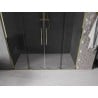 Mexen Velar L Duo Schiebetüren Dusche 200 cm, Graphit, Gold - 871-200-003-42-50