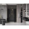 Mexen Velar Duo Schiebeduschtür 140 cm, Graphit, Gold - 871-140-000-42-50