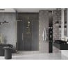Mexen Velar L Duo Schiebetüren 160 cm, transparent, gold - 871-160-003-02-50
