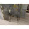 Mexen Omega Schiebeduschkabine 100 x 80 cm, transparent, gold - 825-100-080-50-00