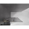 Mexen Velar L Duschtrennwand verschiebbar Walk-in 100 x 200 cm, Graphit 8 mm, Gold - 871-100-003-43-50