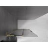 Mexen Velar L Duschwand verschiebbar Walk-in 100 x 200 cm, grafit 8 mm, gebürstet Gold - 871-100-003-43-55