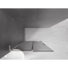 Mexen Velar L Schiebeduschwand Walk-in 110 x 200 cm, Graphit 8 mm, gebürsteter Nickel - 871-110-003-43-97