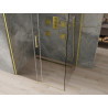 Mexen Omega verschiebbare Duschkabine 140 x 100 cm, transparent, gold - 825-140-100-50-00