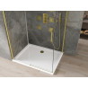 Mexen Omega duschkabine Schiebetür 100 x 80 cm, transparent, gold + Flat Duschwanne - 825-100-080-50-00-4010