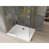 Mexen Omega Schiebeduschkabine 100 x 90 cm, transparent, gold + Flat-Duschtasse - 825-100-090-50-00-4010
