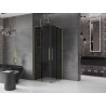 Mexen Velar L Duo Duschkabine, verschiebbar 90 x 90 cm, Graphit, Gold - 871-090-090-02-43-50