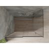 Mexen Omega Schiebetür-Duschkabine 110 x 90 cm, Grafit, Chrom - 825-110-090-01-40