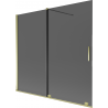 Mexen Velar Duschwand 2-flügelig, verschiebbar 170 x 150 cm, Graphit, Gold - 896-170-000-41-50