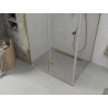 Mexen Lima faltbare Duschkabine 100 x 70 cm, transparent, gold - 856-100-070-50-00