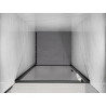 Mexen Exo Duschabtrennung Tür 65 cm, transparent, schwarz - 817-065-000-70-00