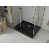 Mexen Lima faltbare Duschkabine 100 x 90 cm, transparent, Gold + Flat Duschwanne, schwarz - 856-100-090-50-00-4070G