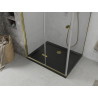 Mexen Lima faltbare Duschkabine 100 x 90 cm, transparent, Gold + Flat Duschwanne, schwarz - 856-100-090-50-00-4070G