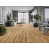 Mexen Beaver Creek Vinylböden 1227 x 187 mm LVT Dryback 2,5 mm, PVC-Unterlage, 4 V-Fuge, Eiche - F1302-1227-187-255-4V1-01