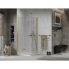 Mexen Lima Duo faltbare Duschkabine 100 x 100 cm, transparent, gold + Flat Duschwanne - 856-100-100-50-02-4010G