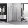 Mexen Exo-BR Pendeltür-Duschkabine 75 x 75 cm, transparent, Chrom - 8181-075-075-01-00
