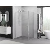 Mexen Exo Duschkabine mit Schwingtür 85 x 100 cm, transparent, chrom - 8181-085-100-01-00