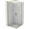 Mexen Exo quadratische Duschkabine, schwenkbar, 100 x 100 cm, transparent, gold - 8110-100-100-50-00
