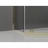 Mexen Exo Duschkabine Fünfeckig Pendeltür 100 x 100 cm, transparent, gold - 812-100-100-50-00