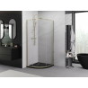 Mexen Exo Halbkreis-Duschkabine, verschiebbar, 90 x 90 cm, transparent, gold - 8131-090-090-50-00