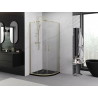 Mexen Exo Duschkabine quadratisch aufschiebbar 100 x 100 cm, transparent, gold - 8132-100-100-50-00
