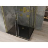 Mexen Omega Schiebedusche 100 x 90 cm, transparent, gold + Duschwanne Flat, schwarz - 825-100-090-50-00-4070G