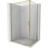 Mexen Exo Duschkabine mit Schwingtür 110 x 70 cm, transparent, gold - 819-110-070-50-00