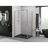 Mexen Exo Duschkabine schwenkbar 125 x 80 cm, transparent, gold - 819-125-080-50-00