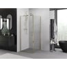 Mexen Exo Duschkabine mit Schwingtür 95 x 95 cm, transparent, gold - 819-095-095-50-00