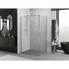 Mexen Exo Duschkabine schwenkbar 125 x 100 cm, transparent, gold - 819-125-100-50-00